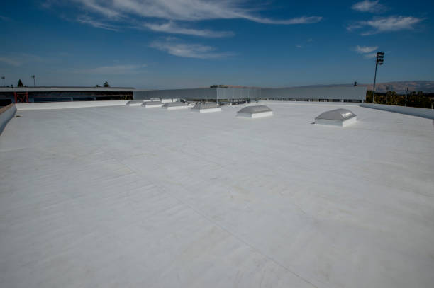 Best Roof Coating and Sealing  in Hot Springs, AR